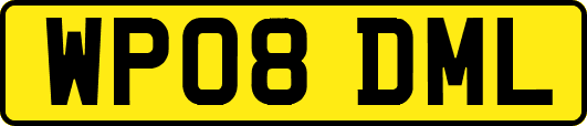 WP08DML