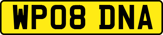 WP08DNA