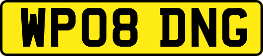 WP08DNG