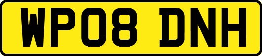 WP08DNH