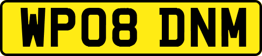 WP08DNM