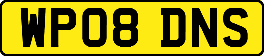 WP08DNS