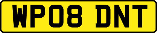 WP08DNT