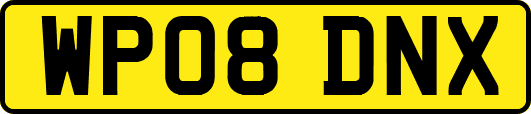 WP08DNX