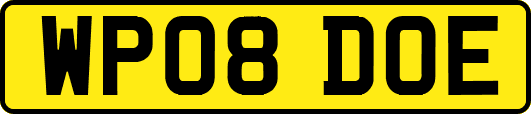 WP08DOE