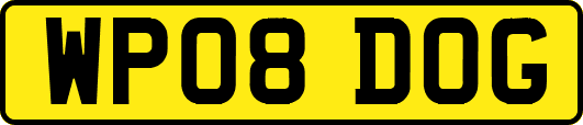 WP08DOG