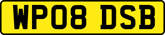 WP08DSB