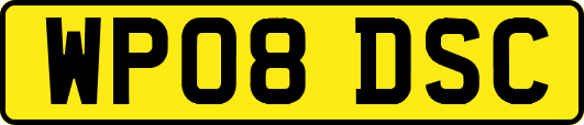 WP08DSC