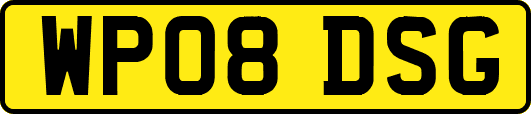 WP08DSG