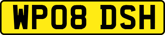 WP08DSH