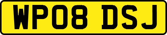 WP08DSJ