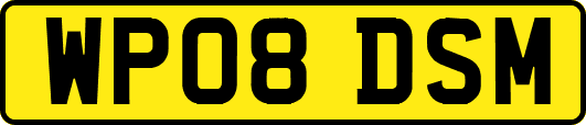 WP08DSM