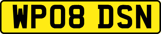 WP08DSN