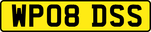WP08DSS