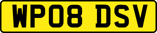 WP08DSV