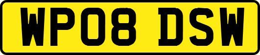WP08DSW