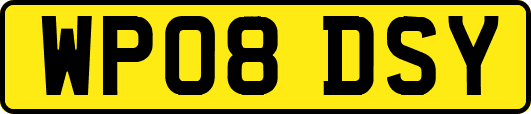 WP08DSY