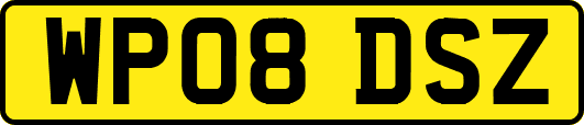 WP08DSZ