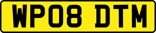 WP08DTM