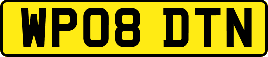 WP08DTN