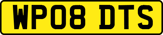 WP08DTS
