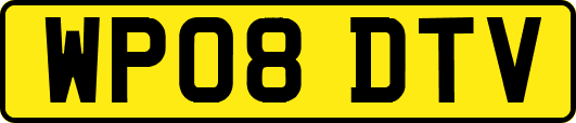 WP08DTV