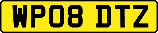 WP08DTZ
