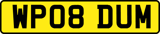 WP08DUM