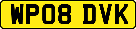 WP08DVK