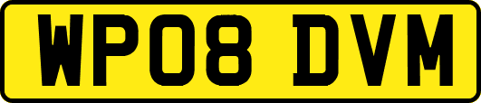 WP08DVM