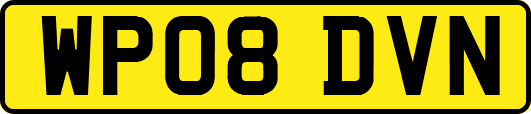 WP08DVN