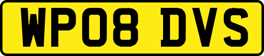 WP08DVS