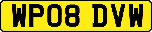 WP08DVW