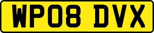 WP08DVX
