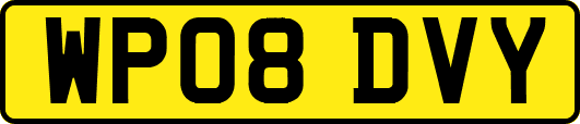 WP08DVY
