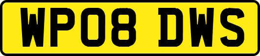 WP08DWS