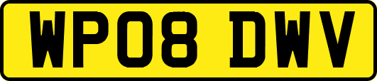WP08DWV