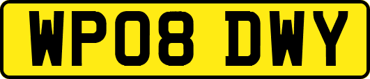 WP08DWY