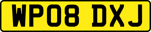 WP08DXJ