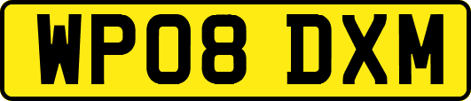 WP08DXM