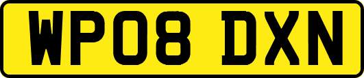 WP08DXN