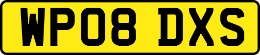 WP08DXS