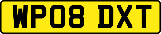 WP08DXT