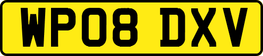 WP08DXV