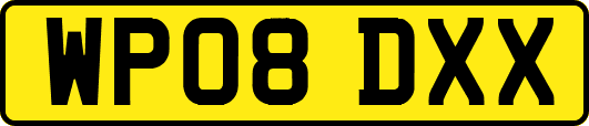 WP08DXX