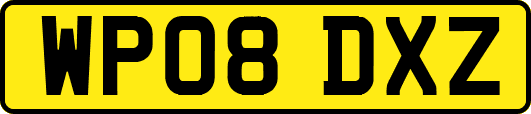 WP08DXZ