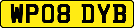 WP08DYB