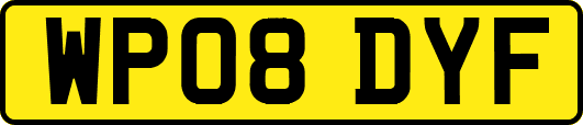 WP08DYF