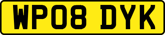 WP08DYK