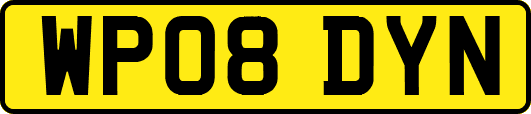 WP08DYN